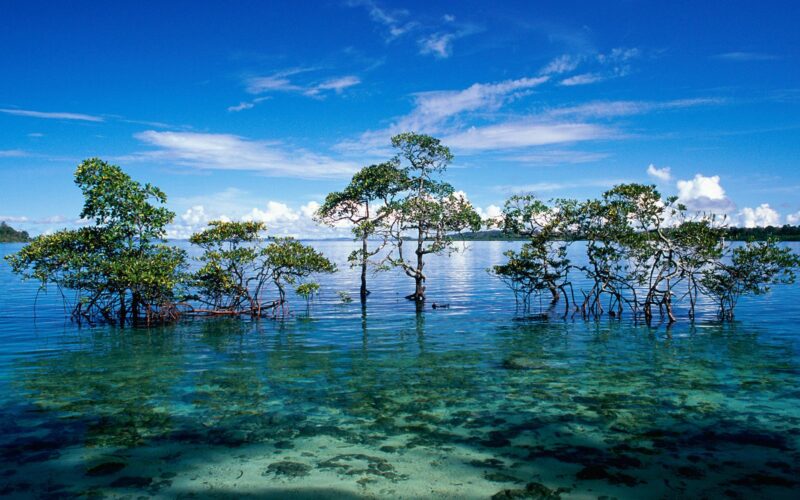 Andaman and Nicobar Islands 2